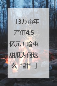 3万亩年产值4.5亿元！喻屯甜瓜为何这么“甜”