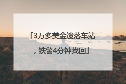 3万多美金遗落车站，铁警4分钟找回