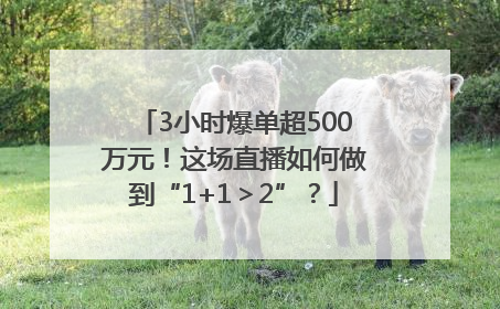 3小时爆单超500万元！这场直播如何做到“1+1＞2”？