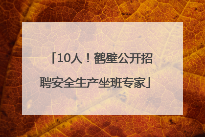 10人！鹤壁公开招聘安全生产坐班专家