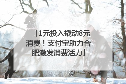 1元投入撬动8元消费！支付宝助力合肥激发消费活力
