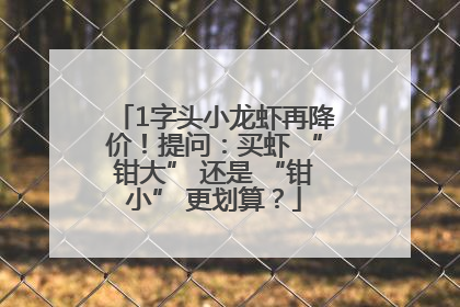 1字头小龙虾再降价！提问：买虾 “钳大” 还是 “钳小” 更划算？