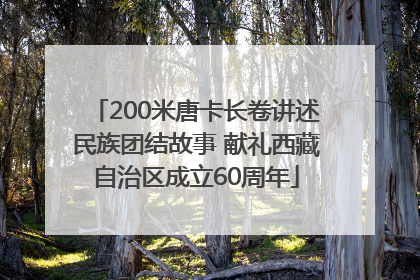 200米唐卡长卷讲述民族团结故事 献礼西藏自治区成立60周年
