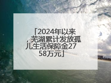 2024年以来，芜湖累计发放孤儿生活保障金2758万元