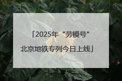 2025年“劳模号”北京地铁专列今日上线