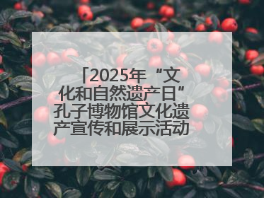 2025年“文化和自然遗产日”孔子博物馆文化遗产宣传和展示活动启动仪式举行
