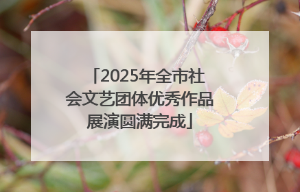 2025年全市社会文艺团体优秀作品展演圆满完成