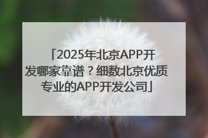 2025年北京APP开发哪家靠谱？细数北京优质专业的APP开发公司