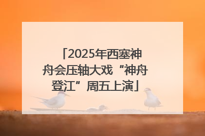 2025年西塞神舟会压轴大戏“神舟登江”周五上演
