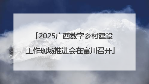 2025广西数字乡村建设工作现场推进会在富川召开