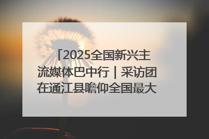 2025全国新兴主流媒体巴中行｜采访团在通江县瞻仰全国最大红军烈士陵园