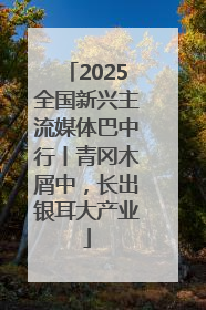 2025全国新兴主流媒体巴中行丨青冈木屑中，长出银耳大产业