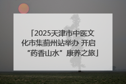 2025天津市中医文化市集蓟州站举办 开启“药香山水”康养之旅
