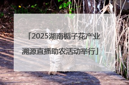 2025湖南栀子花产业溯源直播助农活动举行