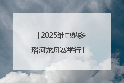 2025维也纳多瑙河龙舟赛举行