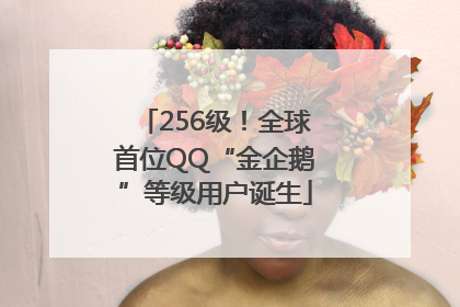 256级！全球首位QQ“金企鹅”等级用户诞生