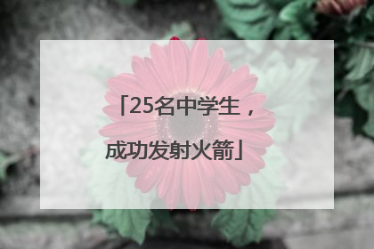 25名中学生，成功发射火箭