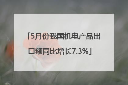 5月份我国机电产品出口额同比增长7.3%