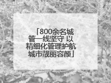 800余名城管一线坚守 以精细化管理护航城市靓丽容颜