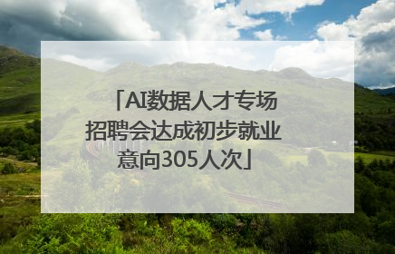 AI数据人才专场招聘会达成初步就业意向305人次