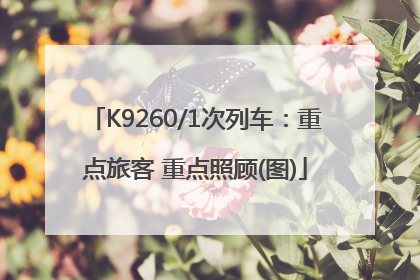 K9260/1次列车：重点旅客 重点照顾(图)