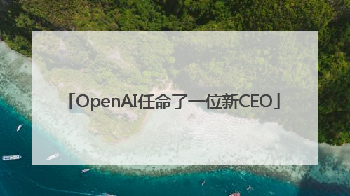 OpenAI任命了一位新CEO