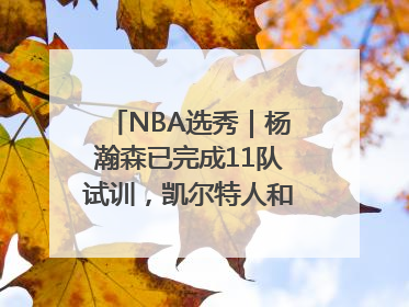 NBA选秀｜杨瀚森已完成11队试训，凯尔特人和太阳更适合他