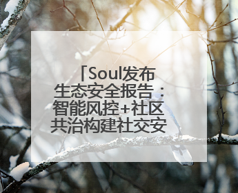 Soul发布生态安全报告：智能风控+社区共治构建社交安全新范式
